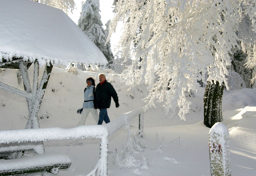 Wanderer im Winter im Wald