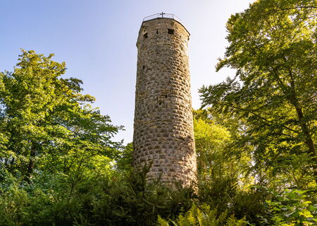 der Wallenburger Turm ragt zwischen Bäumen hervor